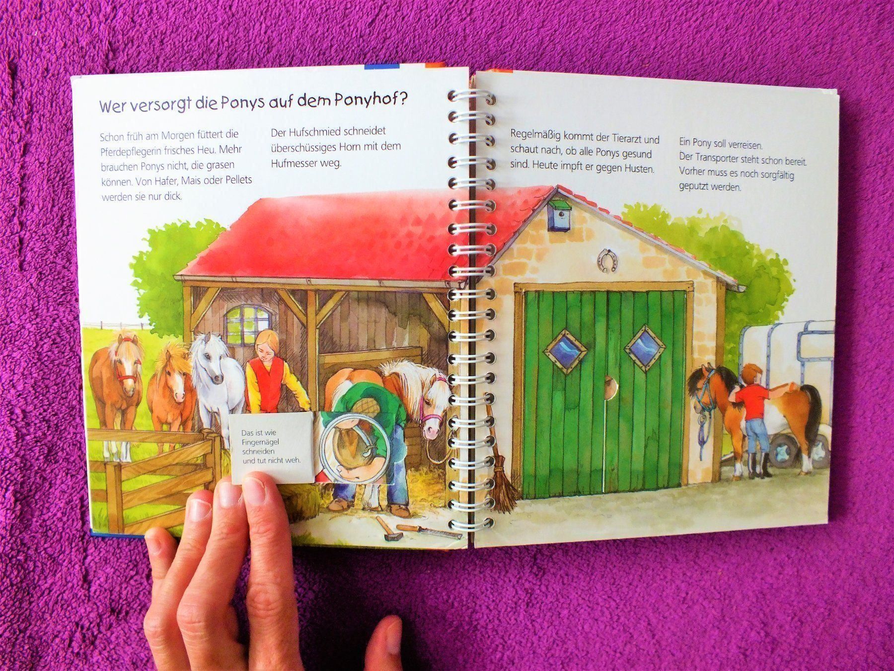 Libri: Wieso Weshalb Warum Junior - Das Pony – Usato da Müllheim Dorf venduto da Seeeule01 4
