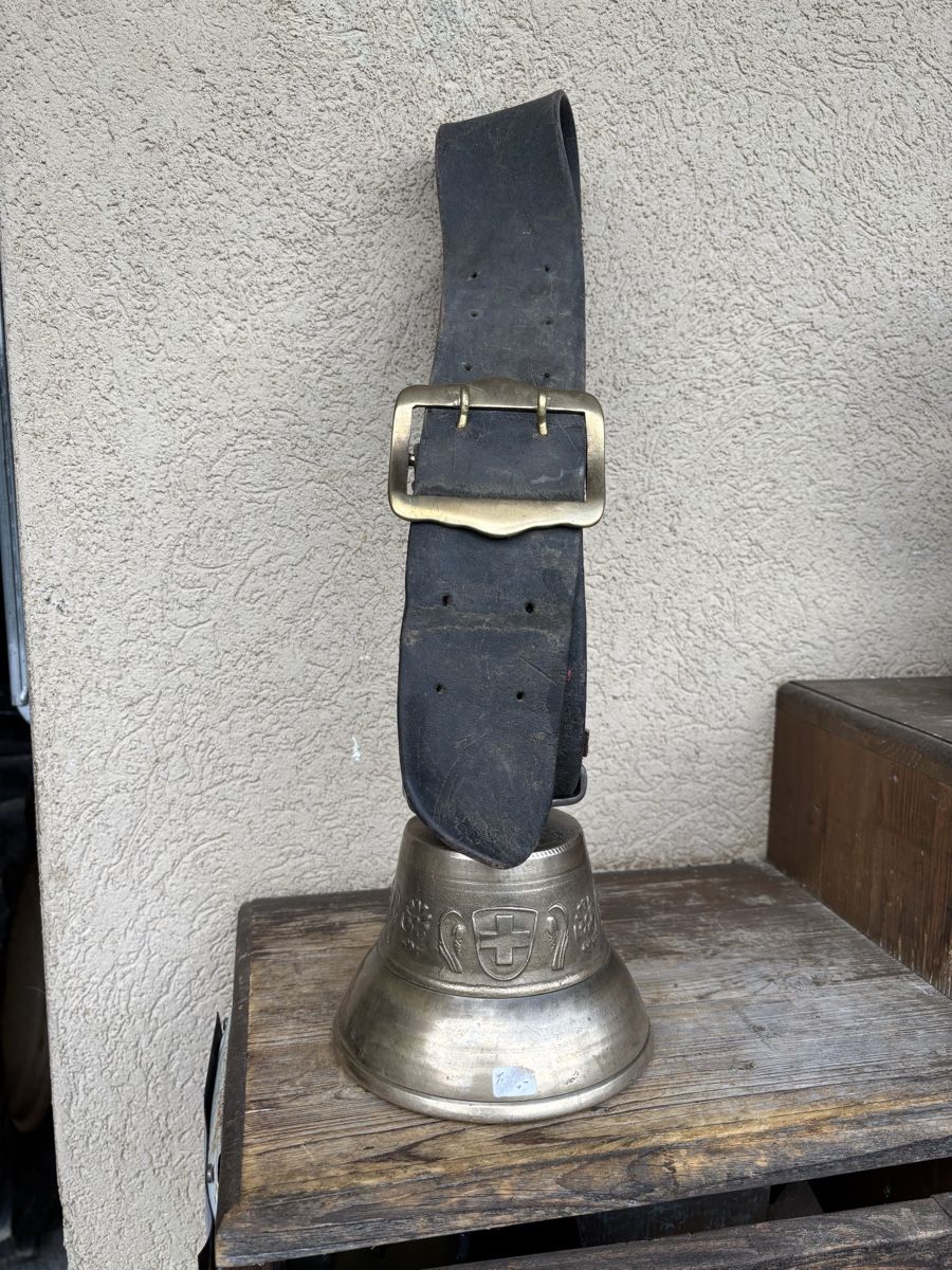Campanacci mucche: Weideglöggli – Usato da Schangnau venduto da Roseggli82
