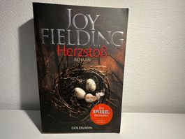 📖 Herzstoss – Joy Fielding