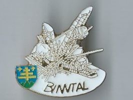 Binntal - Pin