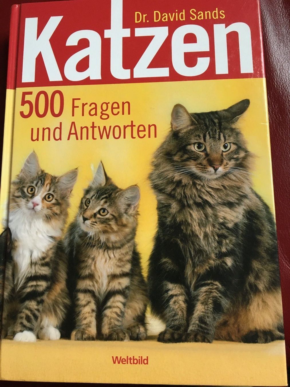 Libri: Katzen – Usato da Arth venduto da Vrecam51