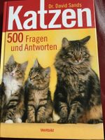 Katzen