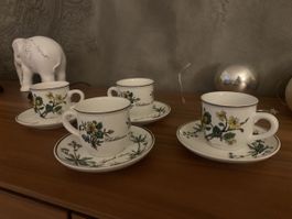 Villeroy und  Boch, Botanica, Rarität, 2 Stück