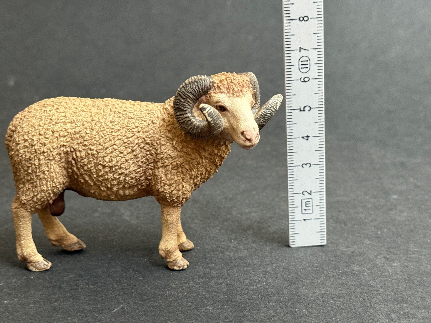 Schleich Statuette: Schleich Widder 13726 Schaf Schafbock – Usato da Ennetbaden venduto da mapa05 1