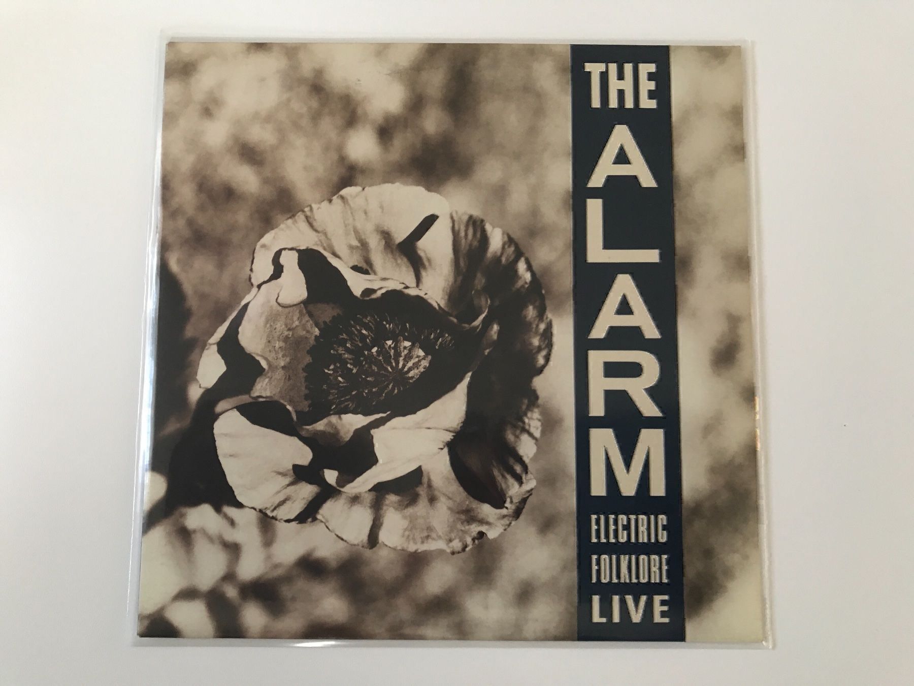 Vinyles: The Alarm LP – D'occasion à Gutenswil par Hamzian