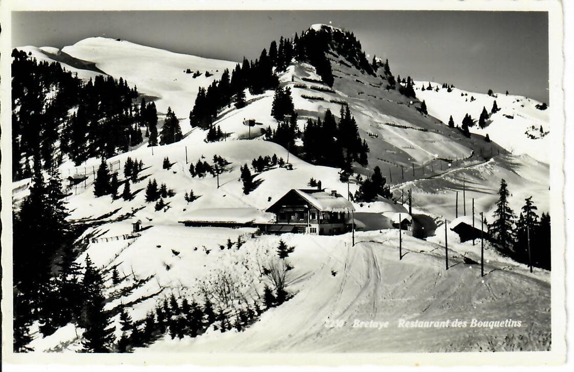 Cartoline postali: Bretaye - Restaurant des Bouquetins – Usato da Hochdorf venduto da Ziegel-16