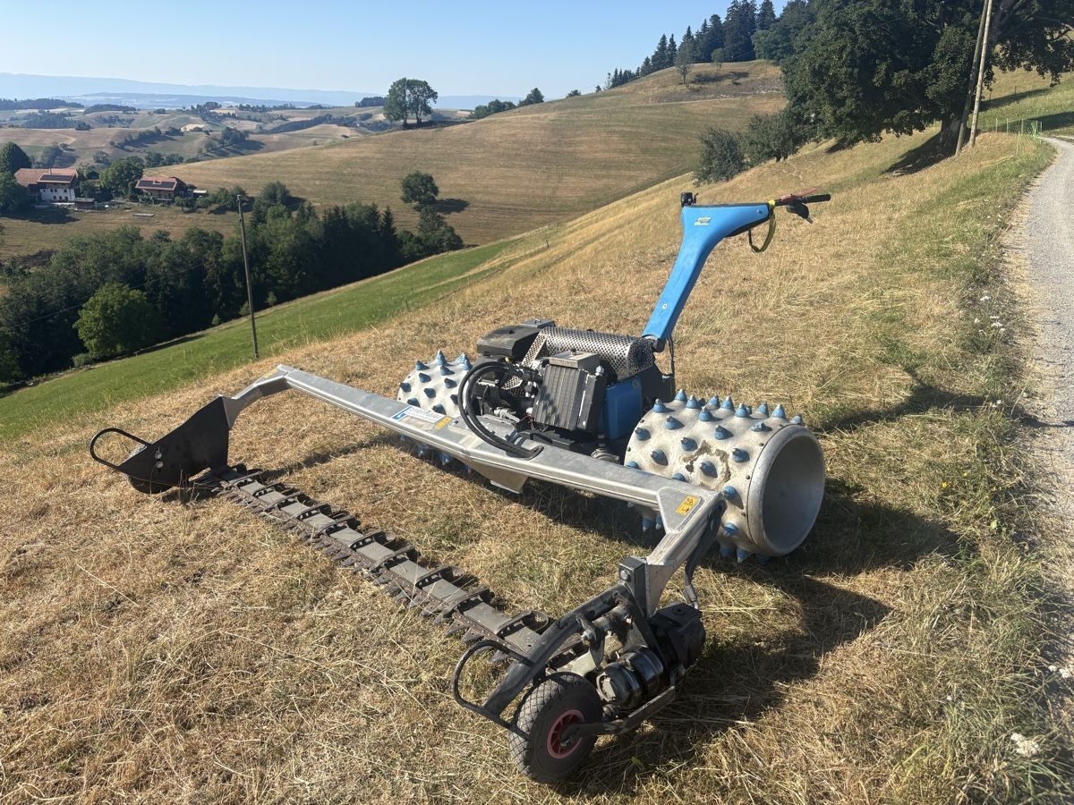 Brielmaier Toutes les machines: Brielmaier Motormäher – D'occasion à Lanzenhäusern par monkadelic