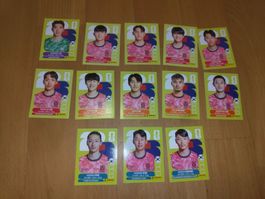 🇰🇷 🔥17x Panini Team Südkorea - KOR 1-10,12,14-19