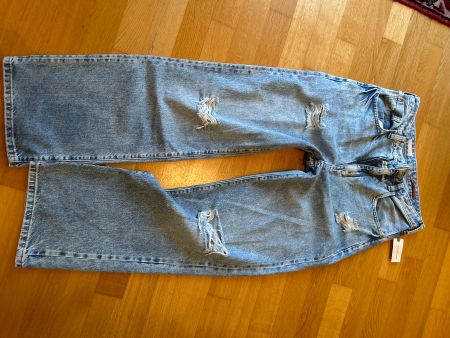 HTF pilcro Anthropologie baggy destroyed jeans new 27