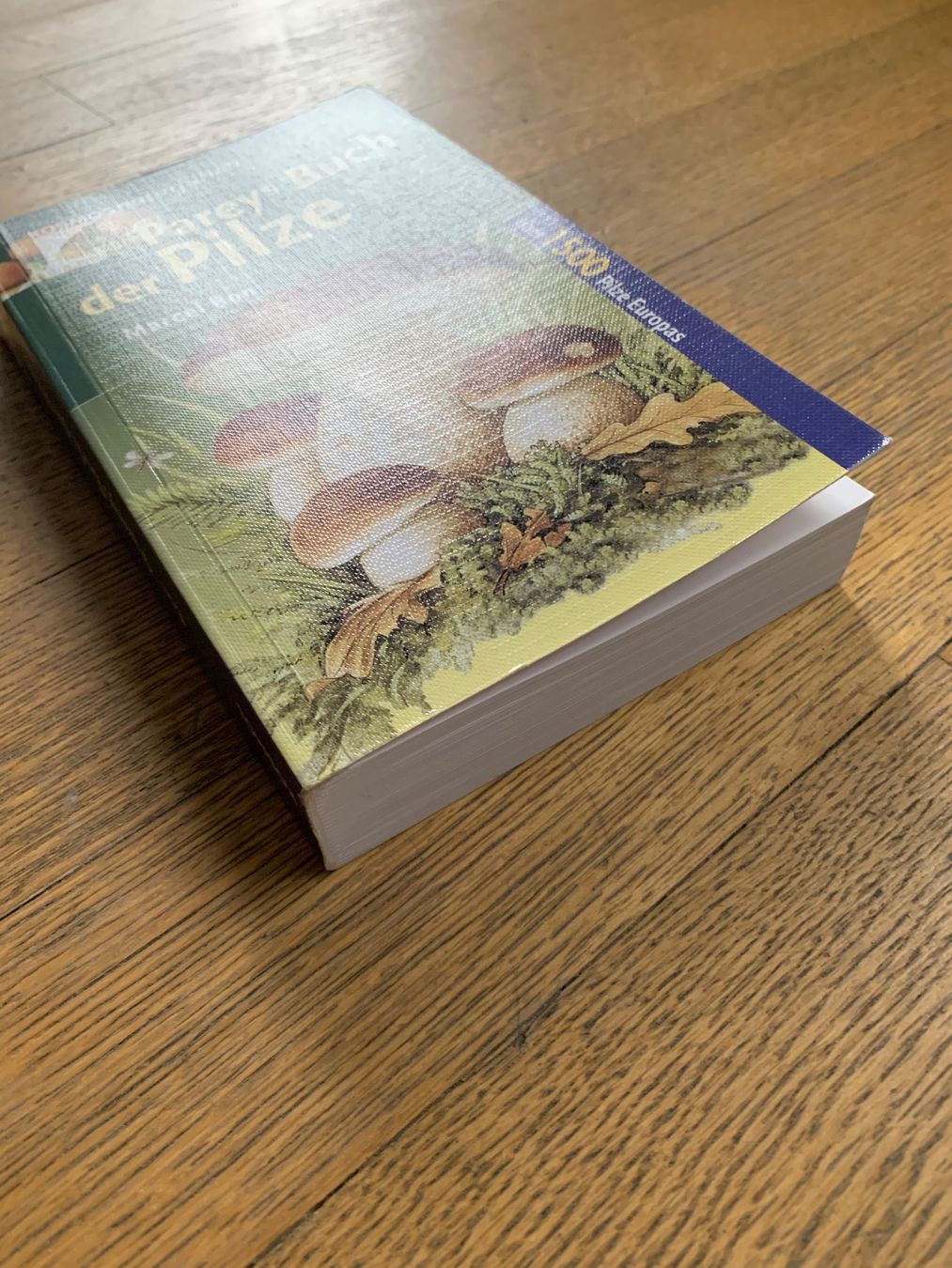Libri: Pareys Buch der Pilze – Usato da Obfelden venduto da Zocci 3