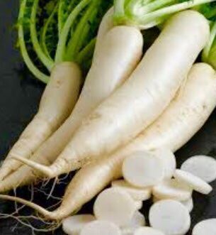 Pflanzen & Samen: 50 Samen Langer weißer Rettich "DAIKON" 50 Samen – Neu und originalverpackt aus Rovio von POSITIFFARTandPLANTS 3
