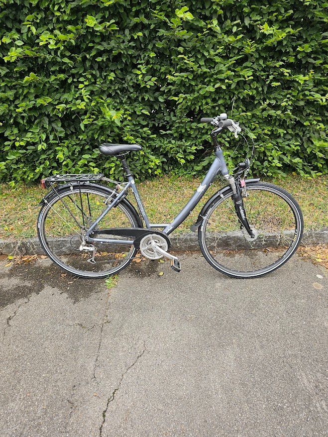 Canyon Biciclette: Zu Verkaufen – Usato da Embrach venduto da dol-polaris 1
