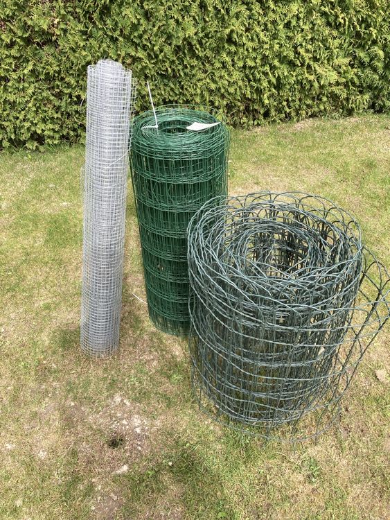 Rankgitter 'Libelle' Für Den Garten – Dekorative Kletterhilfe Für Pflanzen