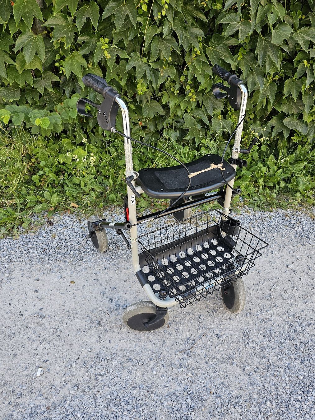 Ausili per la deambulazione: Rollator  – Usato da Meisterschwanden venduto da Hummer21