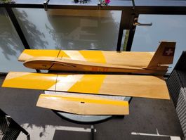 Airfish Segelflieger von Keinrath, mit Servos
