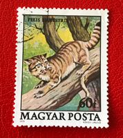 Briefmarke aus Ungarn gestempelt  Siehe Original Fotos 