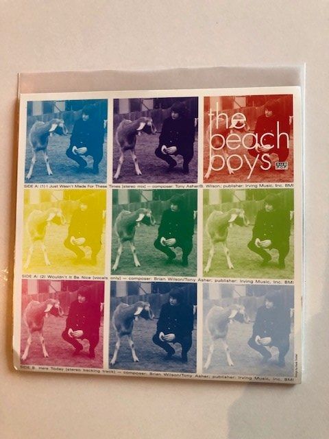 Dischi in vinile: Beach Boys – Nuovo (secondo la descrizione) da Aarwangen venduto da Jukebox3 1