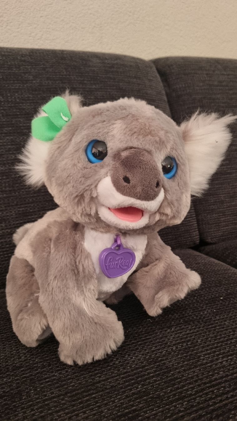 FurReal Jouets: FurReal Koala Pluesch mit Flasche – D'occasion à Winterthur par Pigeonblanc