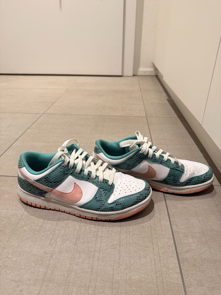 Nike Herrenschuhe: Nike Dunk 42 – Gebraucht aus Bulle von HT8