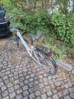 Damenfahrrad 17 zoll