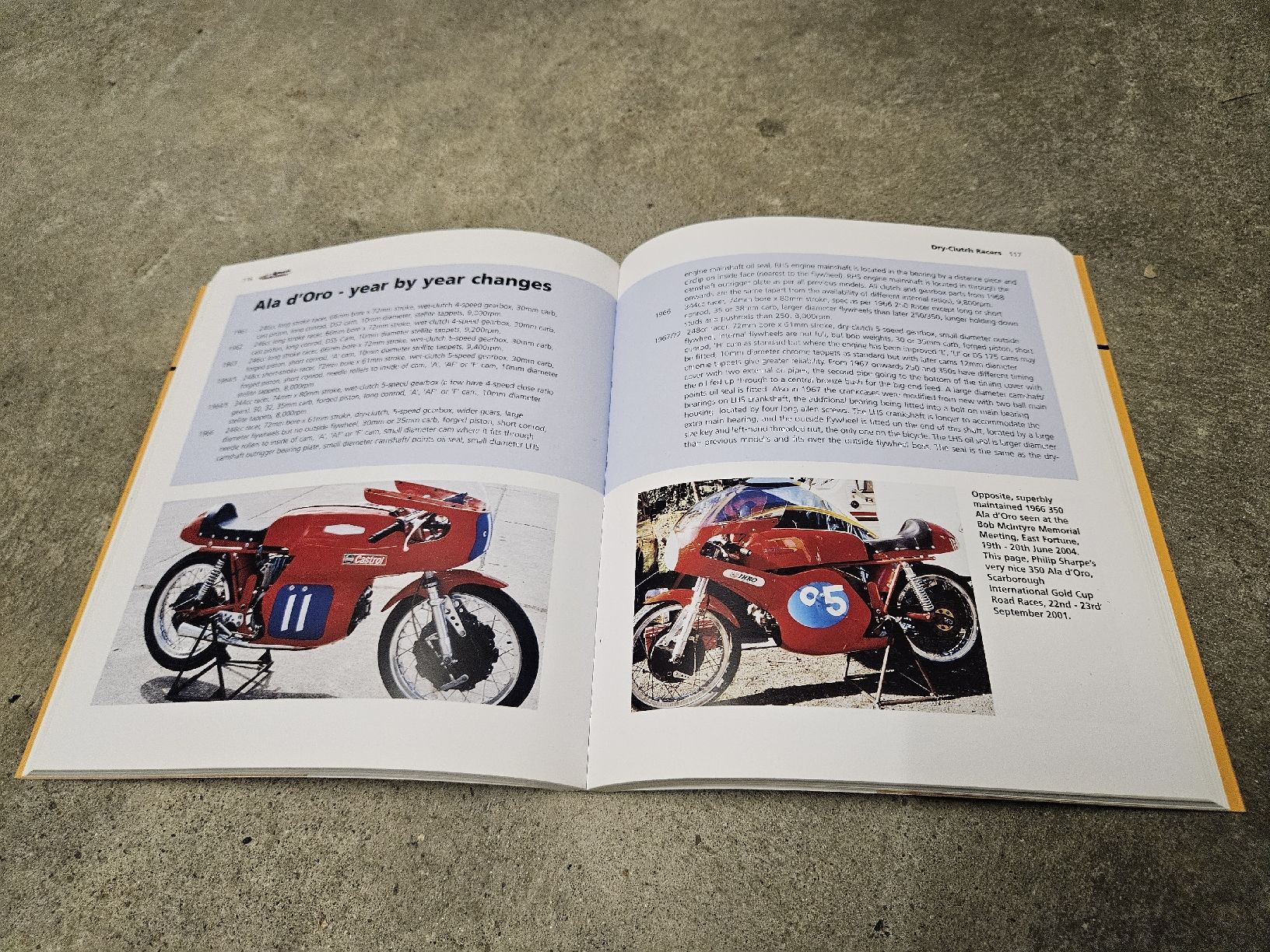 Libri: Airmacchi Buch – Usato da Dielsdorf venduto da toe51664 2