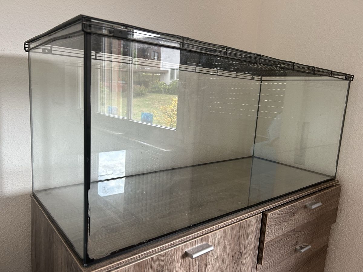 Terrario: Terrarium – Usato da Andelfingen venduto da zim_ny7m