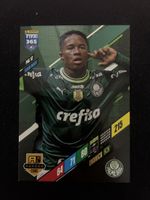 PANINI FIFA 365 2024 # PAL 12