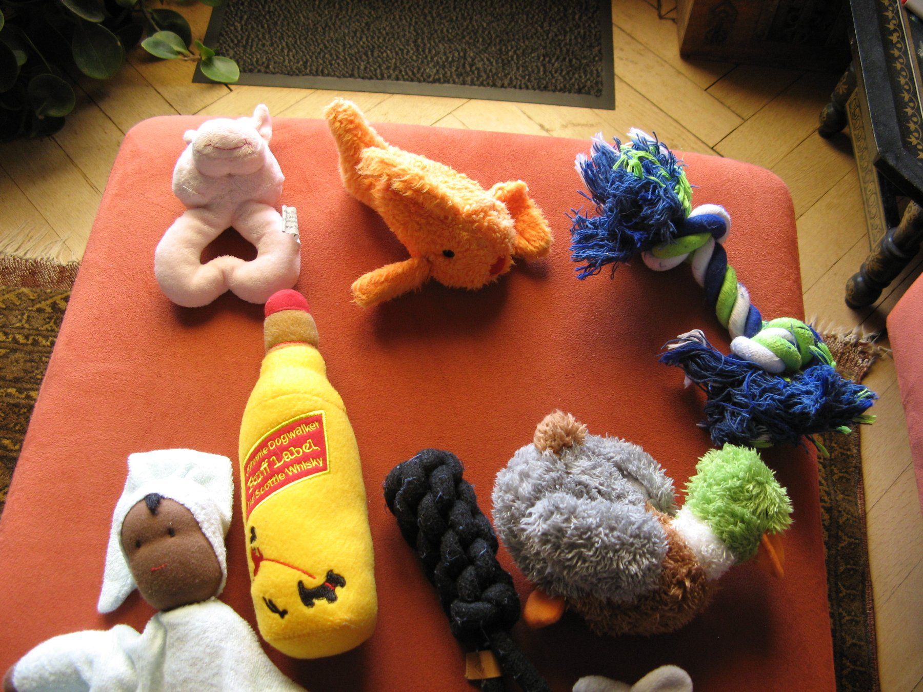 Jouets: diverses Hundespielzeug – D'occasion à Zürich par apil 1