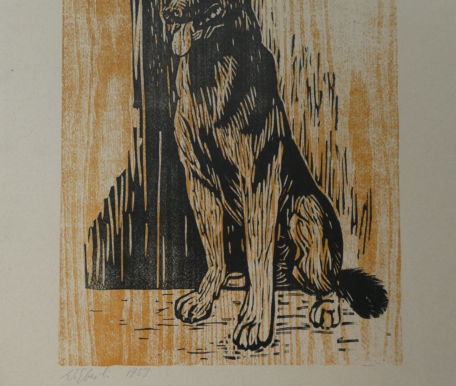 Grafica & Litografie: Lithografie Werner Eberli Gottlieben Thurgau Schäferhund – Usato da Frauenfeld venduto da Astra13 3