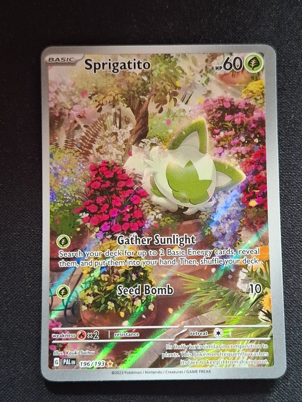 Pokémon Carte collezionabili: Pokemon Sprigatito 196/193 PAL – Nuovo (secondo la descrizione) da Gammen venduto da Karbax