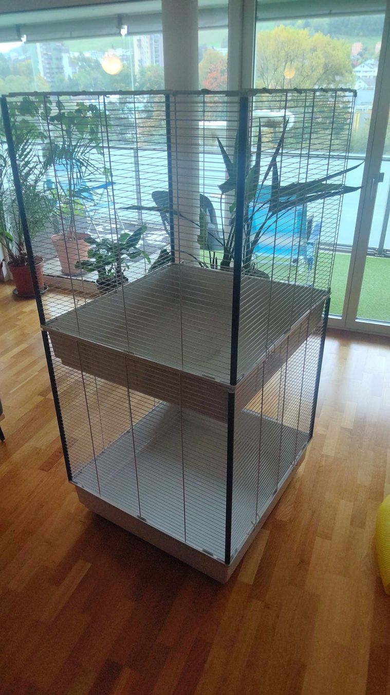 Ferplast Cages, transport & sécurité: Tierkäfig/ Rattenkäfig – D'occasion à St. Gallen par Sevenseas01 2