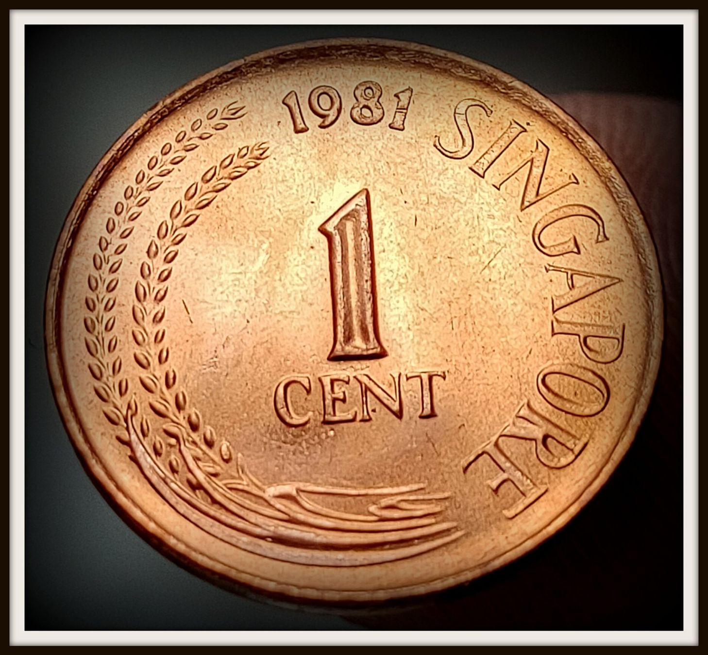 Toutes les monnaies: SINGAPUR 1 CENT 1981 – D'occasion à Winterthur par Creso70 1