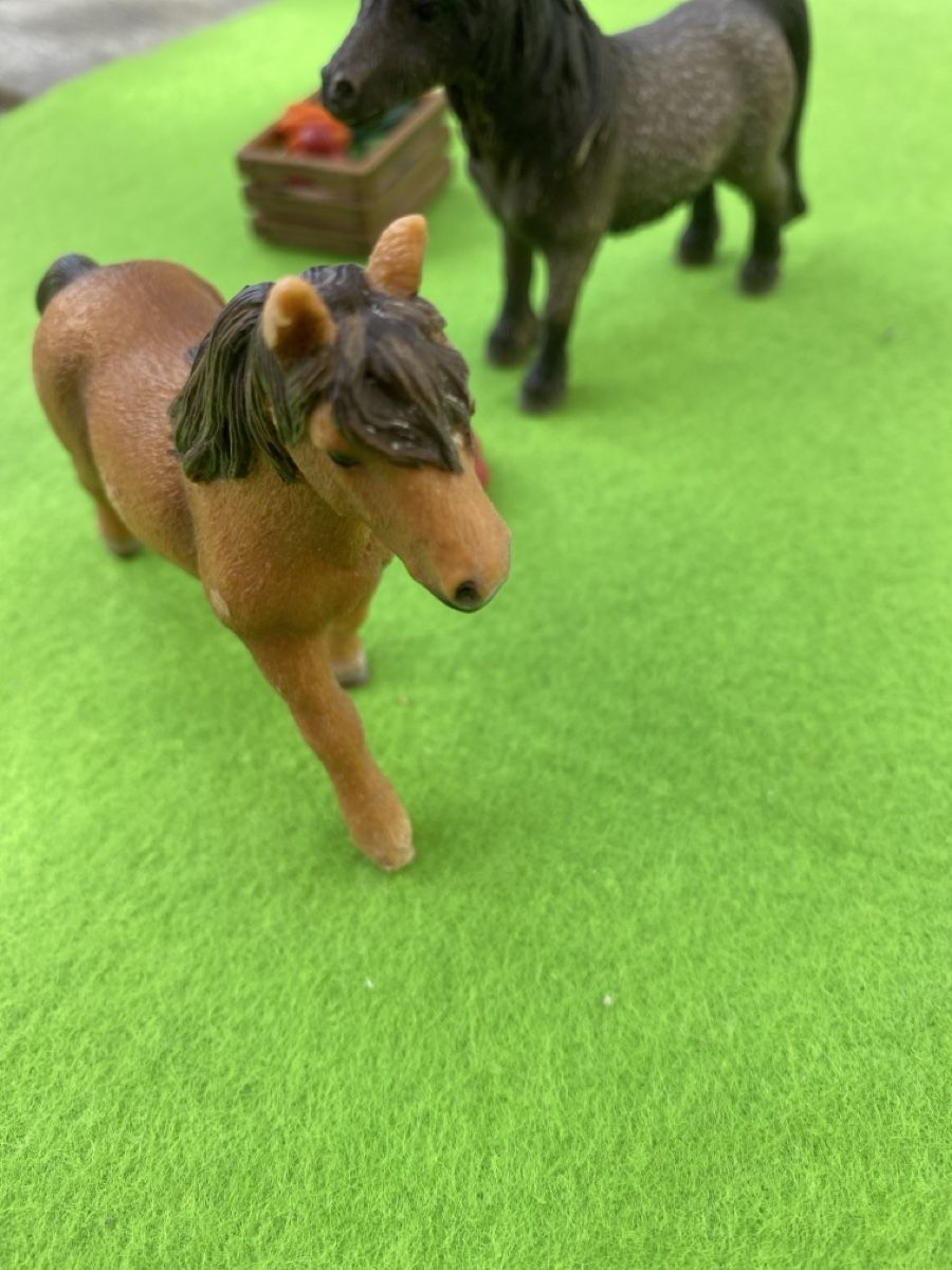 Schleich Giocattoli: Schleichponnys mit Zubehör – Nuovo (secondo la descrizione) da Wädenswil venduto da nomis05 3