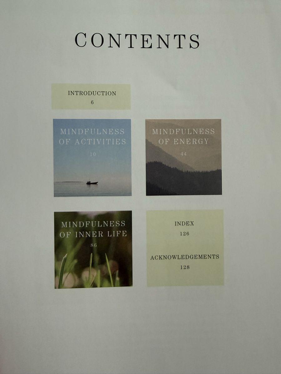 Libri: Pause – Mindfulness Made Simple  – Usato da Luzern venduto da eli_b9zg 1