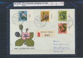 1973 Pro Juventute, Jahrgang mit Tabs, FDC