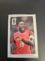 panini CC7