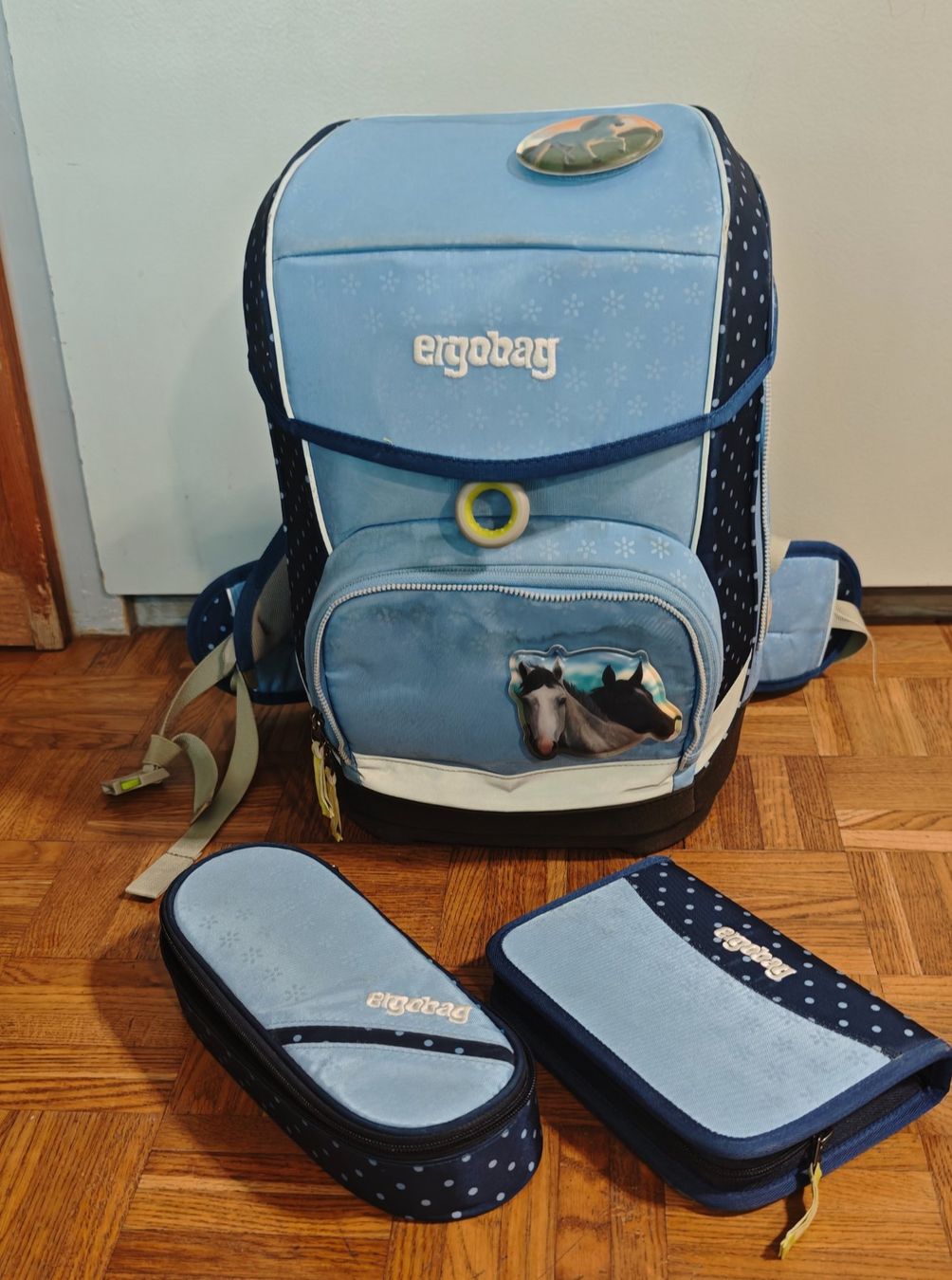 Ergobag Borse & Zaini: Ergobag Schulranzen Set (3-teilig) – Usato da Gams venduto da MissTraveller