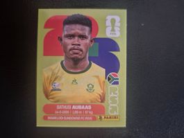 Panini WM 26 RSA 14