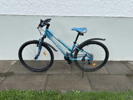 Stern Mountainbike blau 26 Zoll guter Zustand