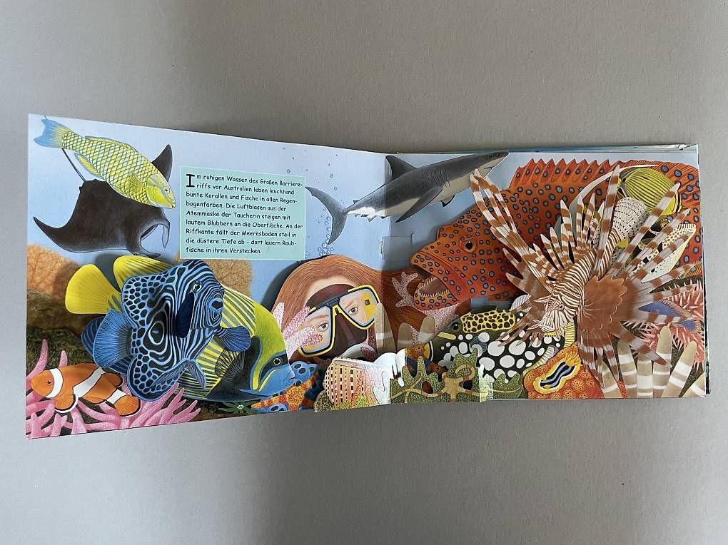 Bücher: Zauberklang der Meere Pop-Up Buch – Gebraucht aus Biel/Bienne von pbeverin 3