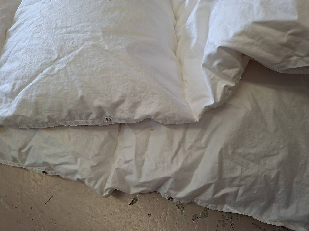 Coperte: Daunenduvet  160x200 – Usato da Olten venduto da Mezopotamya 2
