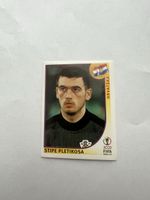 Panini WM02 Bild