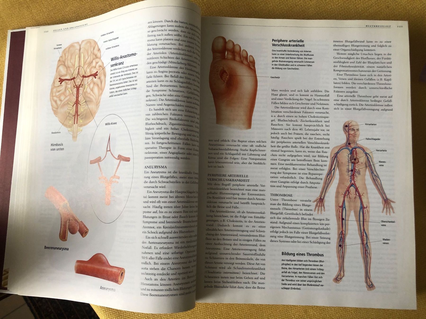 Libri: ANATOMICA von Könemann – Usato da Oberweningen venduto da Gerini 5