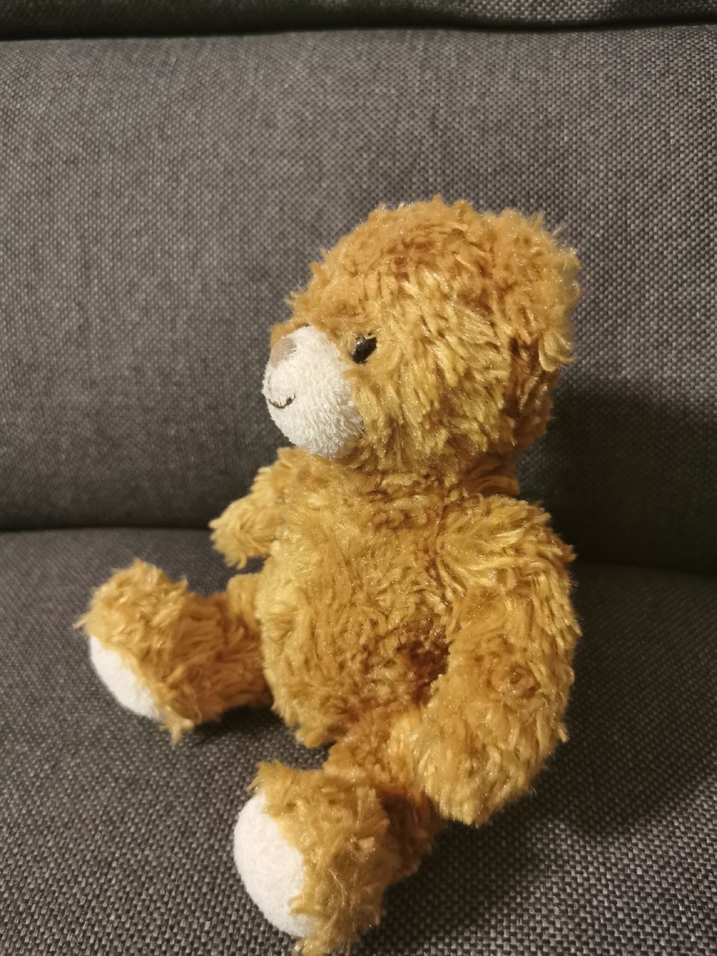 Teddy Hermann Giocattoli: Teddybär Teddy-German GmbH Deutschland – Usato da Buchs SG venduto da and_s6ps 5