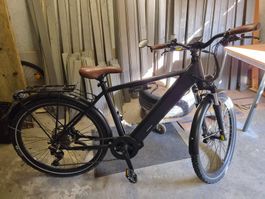 E-Bike 45 km/h Movement EGO Jarhang 2024