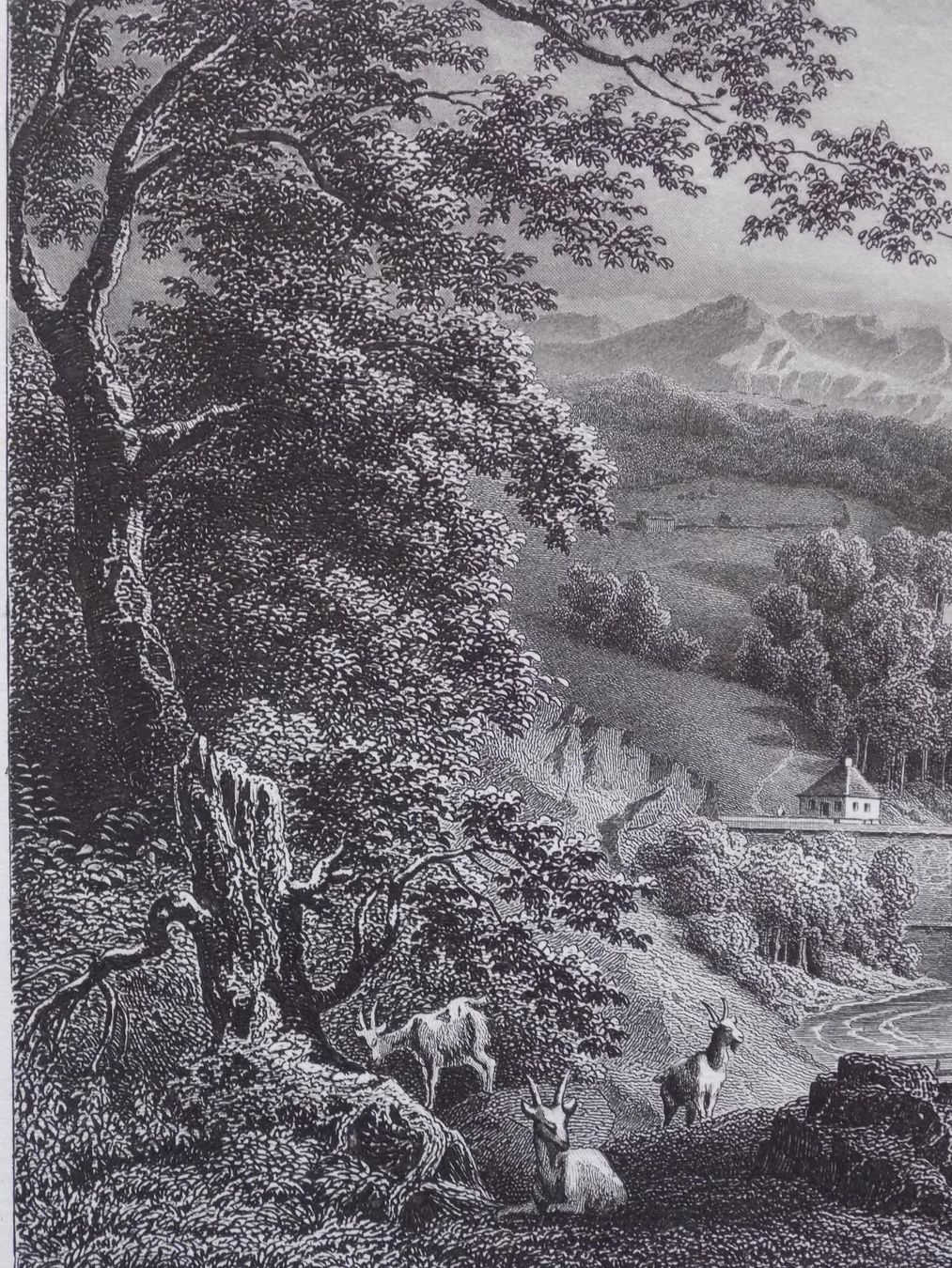 Stiche: Die Sitterbrücke bei St.Gallen – Gebraucht aus Risch von Rischli15 3