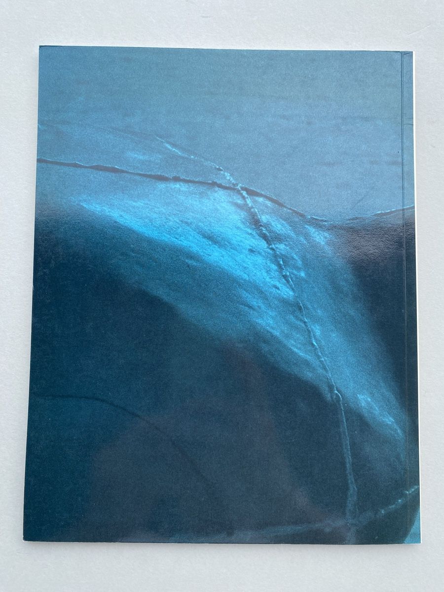 Libri: Antony Gormley Ausstellungskatalog 1985 – Usato da Zürich venduto da lesgarcons 4