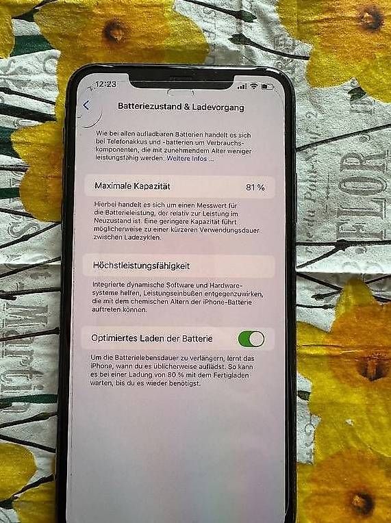 Apple Telefoni cellulari / Smartphones: Apple iPhone 11 Pro Max 256 gb – Usato da St. Gallen venduto da babinos01 3