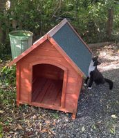 Coole Hundehütte