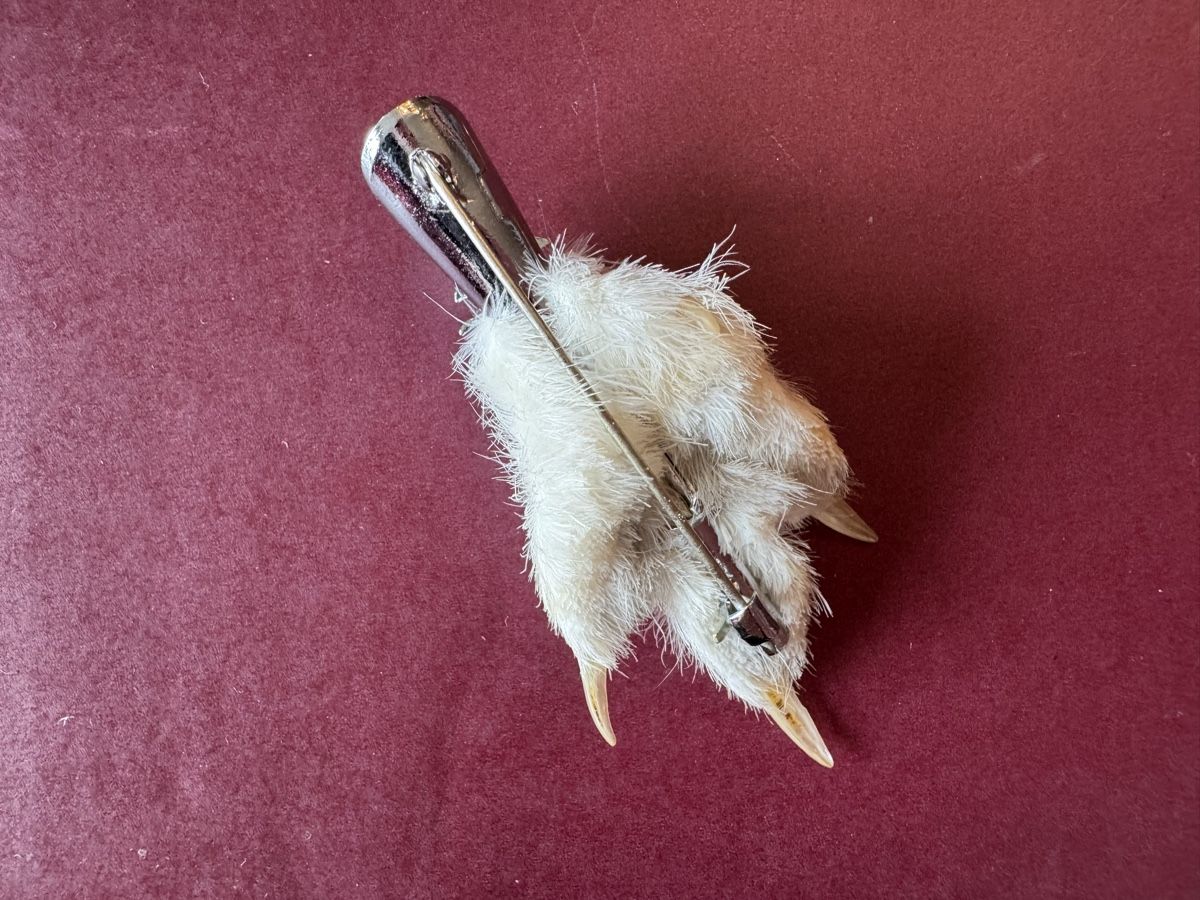 Il mondo degli animali: Antike schottische Grouse Foot Brosche – Usato da Lachen SZ venduto da ThisMyJam 2
